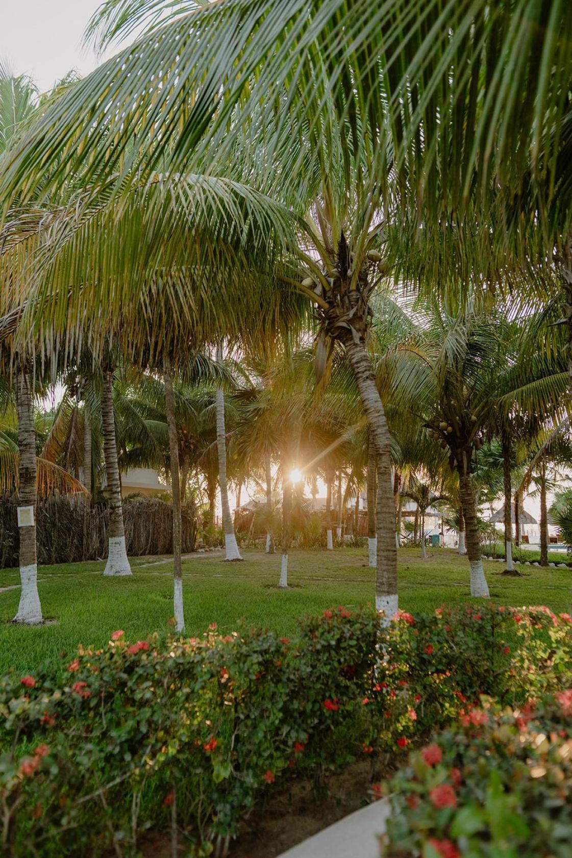 Hotel Puerto Holbox Beach Front Bagian luar foto